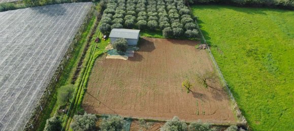 5240m² Land in Cisterna di Latina, Italy No. 157593 5