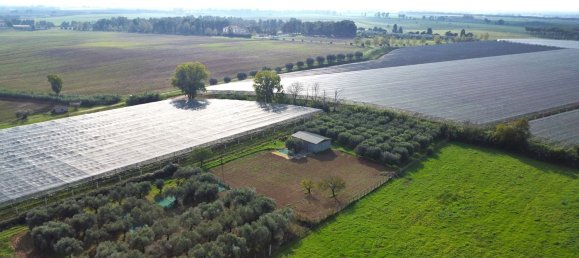 5240m² Land in Cisterna di Latina, Italy No. 157593 7