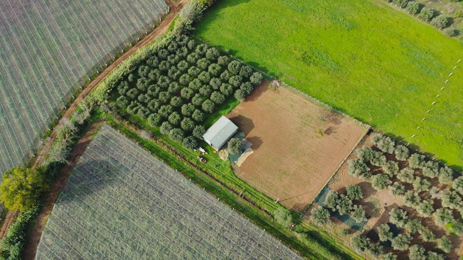 5240m² Land in Cisterna di Latina, Italy No. 157593