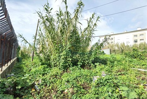 2000m² Land in Lisbon, Portugal No. 89573