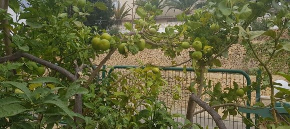 5 bedrooms House in Alicante, Spain No. 176609 27