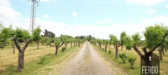 5 bedrooms House in San Andres del Rabanedo, Spain No. 28559 6