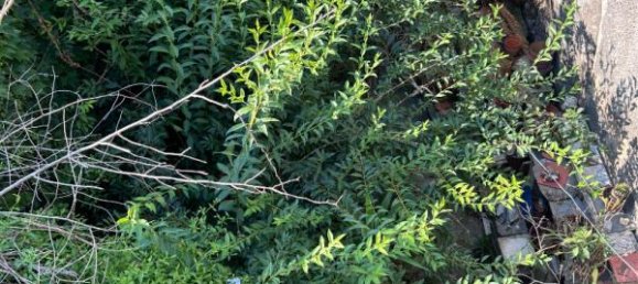 Moradia em banda T2 em Occitanie, France N.º 292299 11