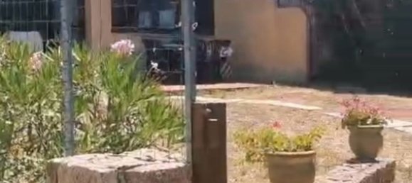 3 rooms House in Santa Teresa Gallura, Italy No. 306318 2