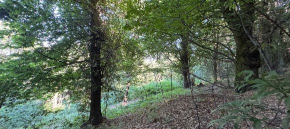 Casa de 2 dormitorios en Paesana, Italy No. 349128 8