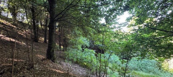 Casa de 2 dormitorios en Paesana, Italy No. 349128 6