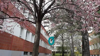 Studio in Penzing, Austria No. 149677