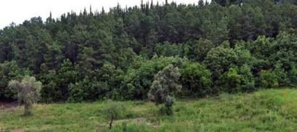 Hotel em Chalkidiki, Greece 3524 m² N.º 8128 3