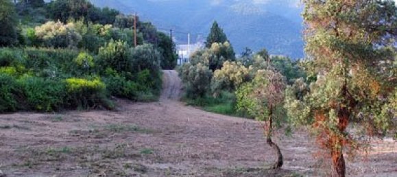 Hotel em Chalkidiki, Greece 3524 m² N.º 8128 2