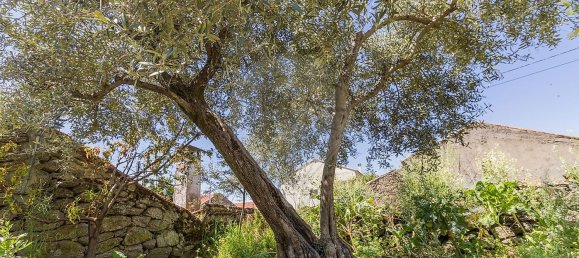 3 غرف نوم منزل في Inguias, Portugal رقم 37541 21