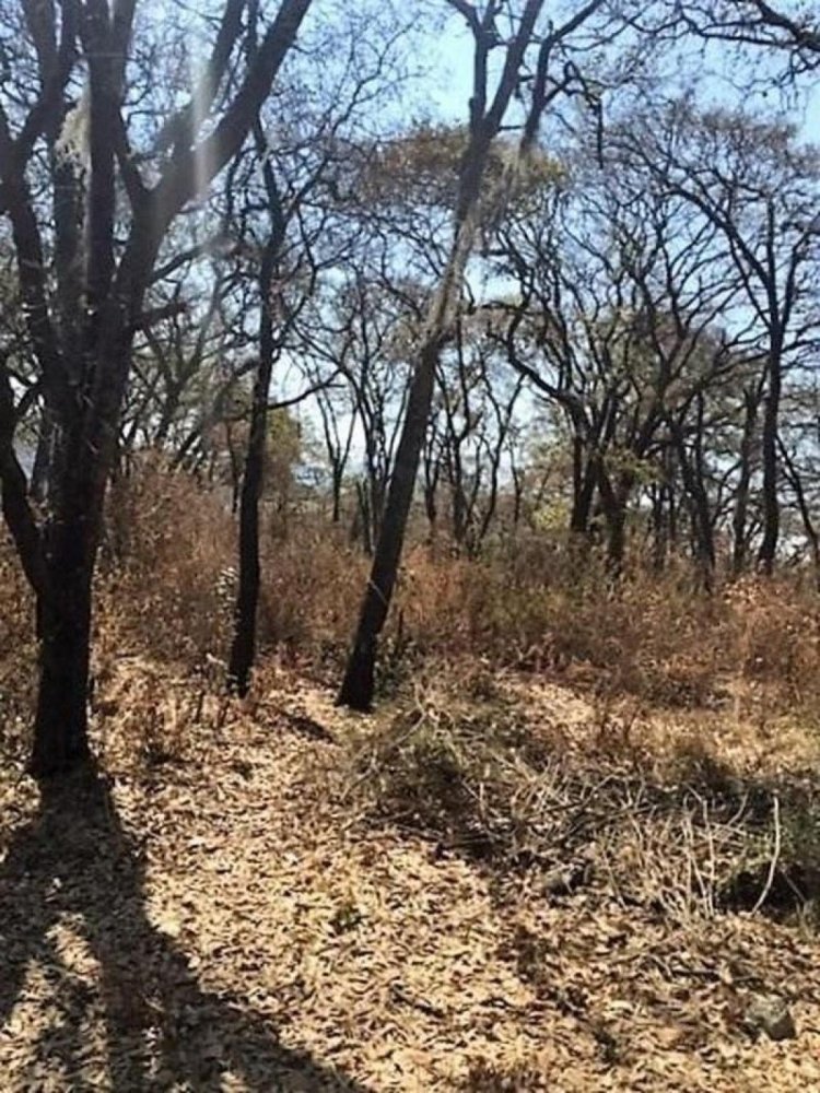  Land in Ciudad Lopez Mateos, Mexico No. 206443