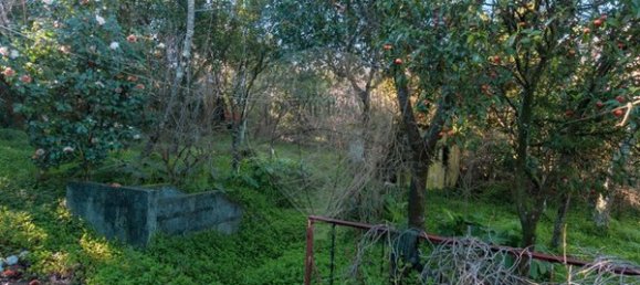 3 Schlafzimmer Haus in Oliveira do Douro, Portugal, Nr. 20549 6