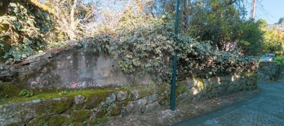 3 Schlafzimmer Haus in Oliveira do Douro, Portugal, Nr. 20549 3