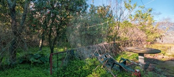 3 Schlafzimmer Haus in Oliveira do Douro, Portugal, Nr. 20549 7