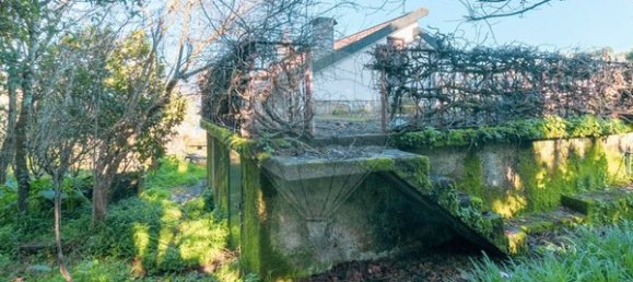 3 Schlafzimmer Haus in Oliveira do Douro, Portugal, Nr. 20549 4