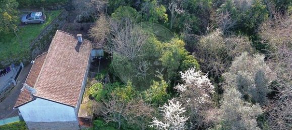 3 Schlafzimmer Haus in Oliveira do Douro, Portugal, Nr. 20549 20