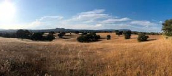 Terreno en Toledo, Spain 207377 m² No. 183075 6