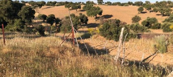 Terreno en Toledo, Spain 207377 m² No. 183075 4