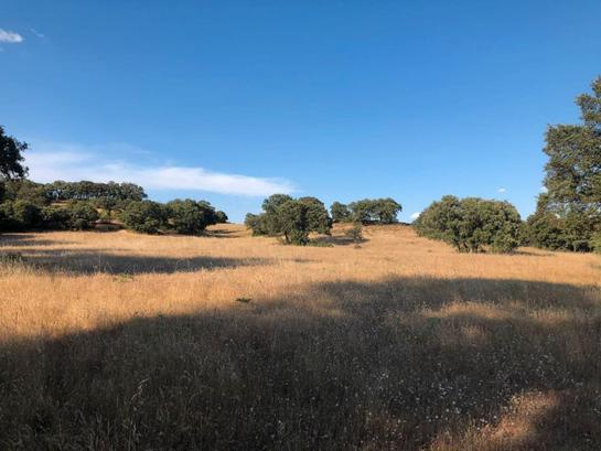 Terreno en Toledo, Spain 207377 m² No. 183075