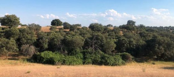 Terreno en Toledo, Spain 207377 m² No. 183075 9