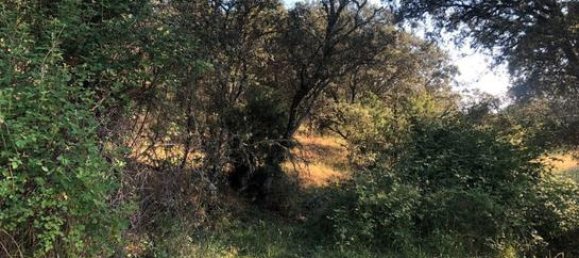 Terreno en Toledo, Spain 207377 m² No. 183075 8