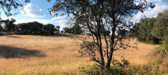 Terreno en Toledo, Spain 207377 m² No. 183075 5