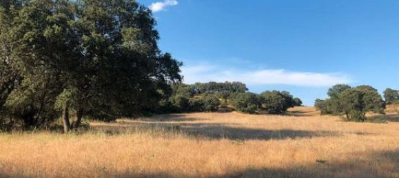 Terreno en Toledo, Spain 207377 m² No. 183075 3