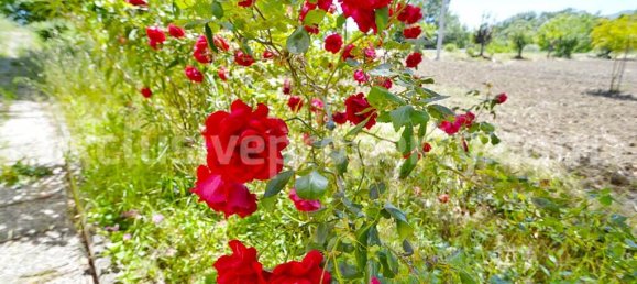 Villa de 3 dormitorios en Roccaspinalveti, Italy No. 329319 42