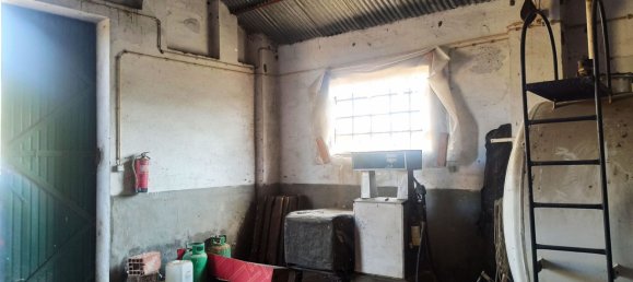 Lagerhaus in Arraiolos, Portugal 340m², Nr. 88596 5