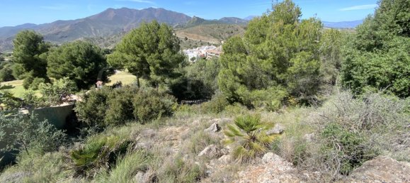 Grundstück in Alhaurin el Grande, Spain, Nr. 126099 17