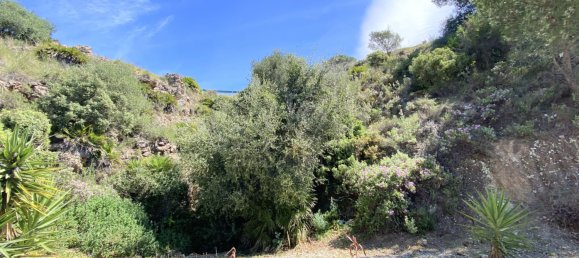 Grundstück in Alhaurin el Grande, Spain, Nr. 126099 33