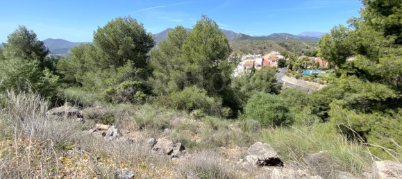 Grundstück in Alhaurin el Grande, Spain, Nr. 126099 6