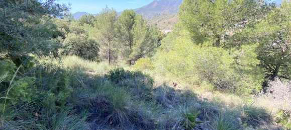 Grundstück in Alhaurin el Grande, Spain, Nr. 126099 11