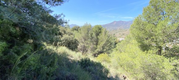 Grundstück in Alhaurin el Grande, Spain, Nr. 126099 12