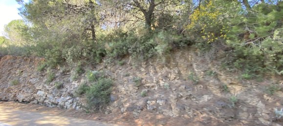 Grundstück in Alhaurin el Grande, Spain, Nr. 126099 28