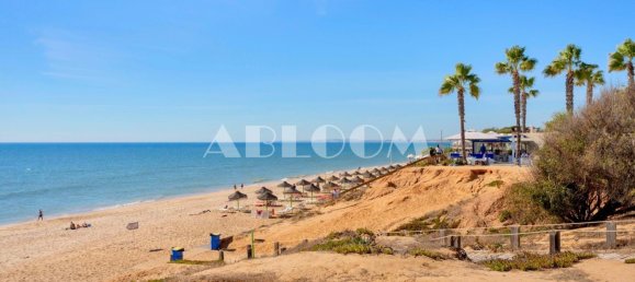 3233m² Land in Almancil, Portugal No. 145992 19