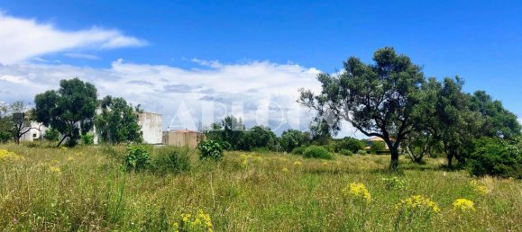 3233m² Land in Almancil, Portugal No. 145992 17