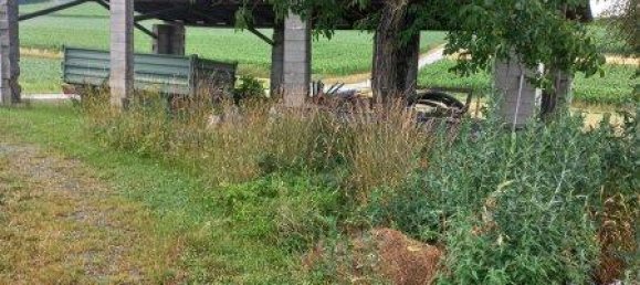 3 rooms House in Kohfidisch, Austria No. 214203 8