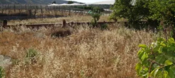 4 bedrooms House in Granada, Spain No. 174535 12