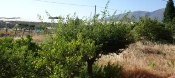 4 bedrooms House in Granada, Spain No. 174535 3