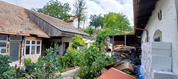 16-Zimmer Haus in Göttlesbrunn-Arbesthal, Austria, Nr. 222410 4