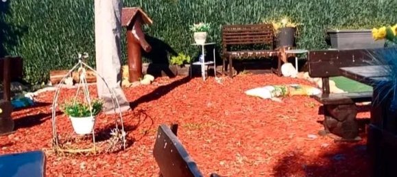  Land in Mecklenburgische Seenplatte, Germany No. 295030 3