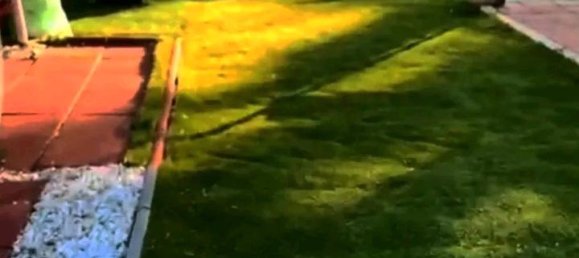  Land in Mecklenburgische Seenplatte, Germany No. 295030 15