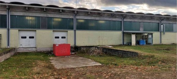 Armazém em Sernaglia della Battaglia, Italy 3700 m² N.º 299779 3