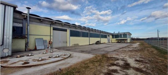 Armazém em Sernaglia della Battaglia, Italy 3700 m² N.º 299779 5