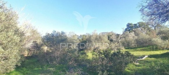 Terrain à Olhao, Portugal 2520m² No. 52077 2