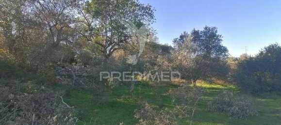 Terrain à Olhao, Portugal 2520m² No. 52077 4