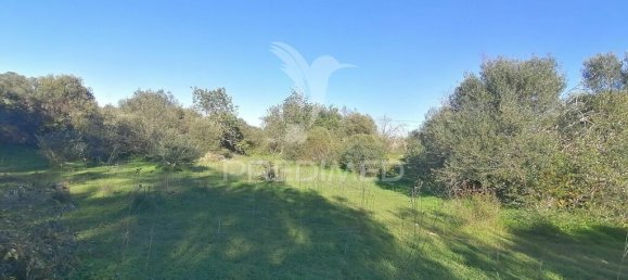 Terrain à Olhao, Portugal 2520m² No. 52077 5