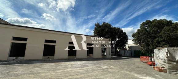 3 rooms Apartment in Campi Bisenzio, Italy No. 9880 4