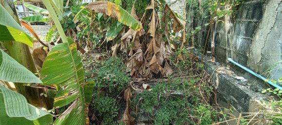  Commercial property in Pattaya, Thailand No. 374 8